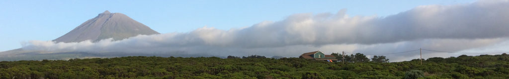 Chi sono - Dott.ssa Heidi Ammermann - Medico fisiatra e psicoterapeuta